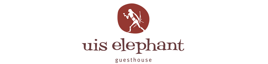 Uis Elephant 10