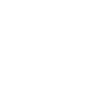 LRON Icons-01