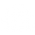 LRON Icons-02